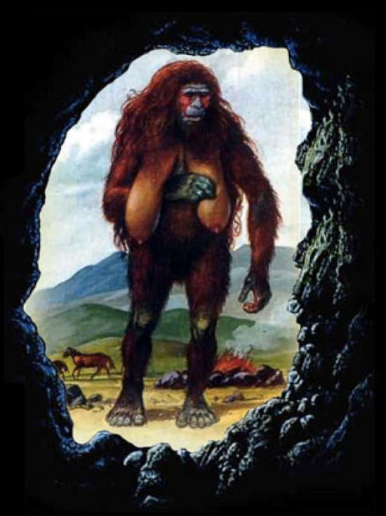 Người Almas có vóc dáng thấp bé, cơ bắp mạnh mẽ, mình đầy lông và chưa có ngôn ngữ.