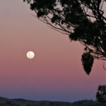 Khám phá các giai đoạn trong chu kỳ của Mặt Trăng