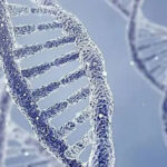 Sự thật đáng sợ về cận huyết: Lời nguyền của gene, tuyến phòng thủ cuối cùng của tự nhiên!