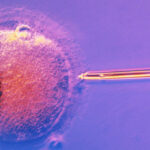 Những điều cần biết về thụ tinh trong ống nghiệm