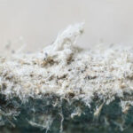 Bi kịch của amiăng: Chất gây ung thư cấp độ một, vẫn có thể được nhìn thấy ở trong ngôi nhà của bạn