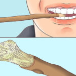 Trước khi có bàn chải đánh răng, người xưa đã làm sạch răng như thế nào?