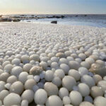 10 hiện tượng thiên nhiên hiếm thấy