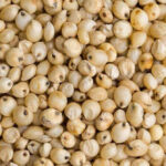 Sự thật cực thú vị về huyền thoại bo bo thời bao cấp