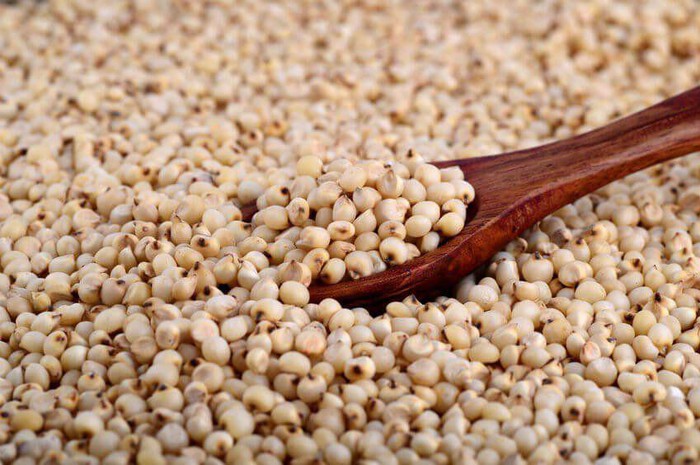 Nhiều người thời nay sẽ "không nuốt nổi" hạt bo bo