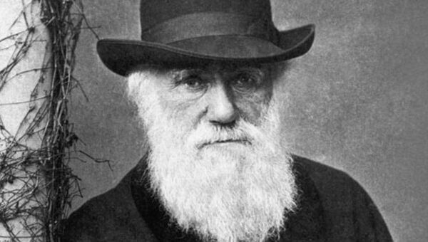 9 lý do chứng minh thuyết tiến hóa của Darwin là sai lầm