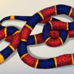 5 mẹo dân gian khiến rắn sẽ không dám bén mảng tới gần nhà bạn