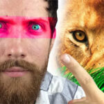 Vì sao con người lại sở hữu đôi mắt của những kẻ săn mồi hàng đầu?