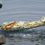 Hồ thiêng ở TQ: 800.000 tấn tôm cá nhưng không một ai dám đánh bắt