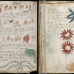 Bản thảo bí ẩn nhất thế giới đã được giải mã