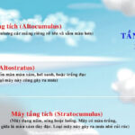 Phân biệt các loại mây trên bầu trời