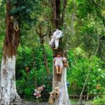 “Cánh rừng tự sát” của Nhật Bản hiện tại thế nào sau nhiều năm gây ám ảnh?