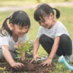 “Nhân quả” có tồn tại không? Tại sao khoa học cũng cho rằng nhân quả có thật?