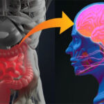 Top 8 bộ phận cơ thể ẩn giấu nhiều điều thú vị mà đến chính bản thân bạn cũng không hề biết