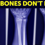 Phát hiện ra gene siêu năng lực, các "siêu nhân" sẽ sớm trở thành hiện thực trong tương lai!