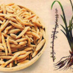 Việt Nam có một loại củ phơi khô được ví như "thuốc trường thọ"
