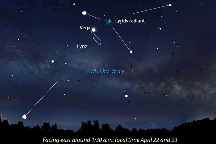 Mưa sao băng sẽ phát ra gần chòm sao Thiên Cầm (Lyra), nơi có ngôi sao Vega rất sáng