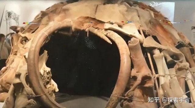 nha-lam-tu-xuong-voi-ma-mut Nhà làm từ xương voi ma mút.