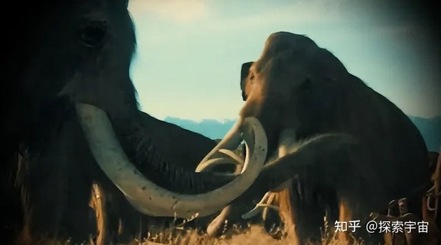 voi-ma-mut Các nhà khoa học tìm được rất nhiều hài cốt của voi ma mút ở Siberia