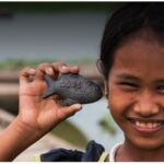 Tìm hiểu về con cá bằng sắt Lucky Fish giúp ngăn ngừa thiếu máu