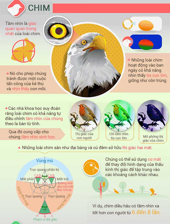 canh-dong-vat-nhin-the-gioi-6