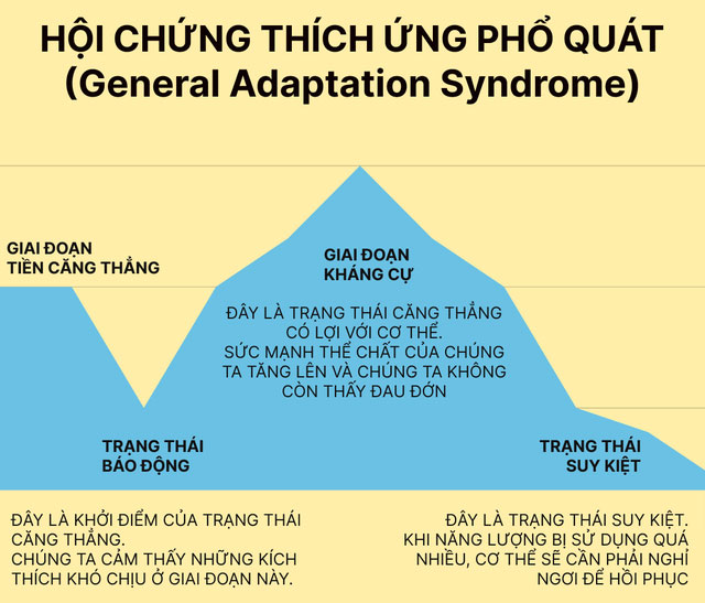 Hội chứng thích ứng phổ quát