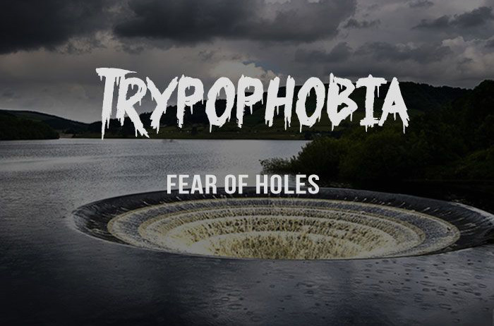 7. Trypophobia - Sợ hãi "những cái lỗ" Những nỗi sợ kỳ quái của con người