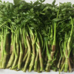 Công dụng chữa bệnh thần kỳ của rau cần