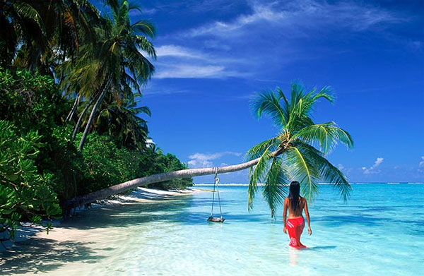 Quốc đảo Seychelles - Hòn ngọc giữa Ấn Độ Dương Khám phá bí mật của loại hạt lớn nhất thế giới
