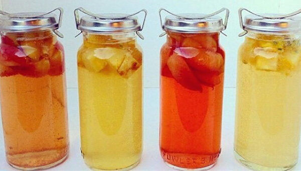 Những điều cần biết về “trà Kombucha” – Trà lên men