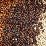 Hạt Quinoa là gì? Lợi ích vàng của hạt quinoa đối với sức khỏe