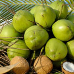 16 lý do để uống nước dừa