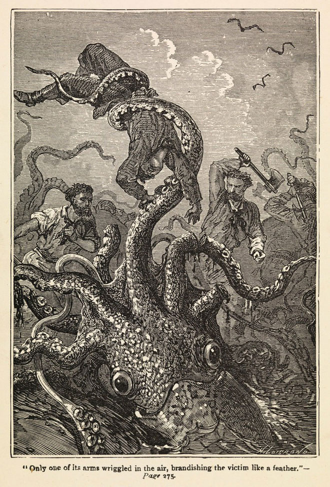 quai-vat-kraken Nếu không phải thuỷ quái, thì có con gì sống được ở đó không?