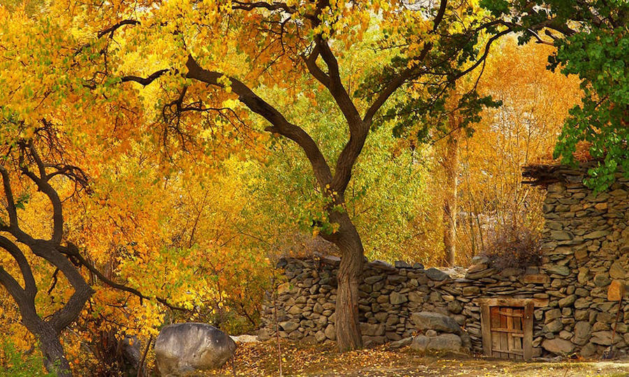 Phụ nữ Hunza có thể dễ dàng thụ thai trong độ tuổi từ 60 đến 90. Phụ nữ Hunza có thể dễ dàng thụ thai trong độ tuổi từ 60 đến 90.