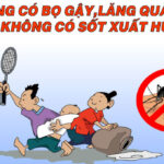 Sốt xuất huyết: Nguyên nhân, triệu chứng và cách phòng bệnh