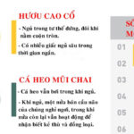 Thói quen ngủ lạ thường của các loài động vật