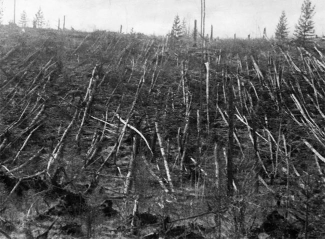 vu-no-tunguska Vụ nổ gây ra ngọn lửa quét sạch 80 triệu cây cối và vô số động vật trên diện tích hơn 1.300km²