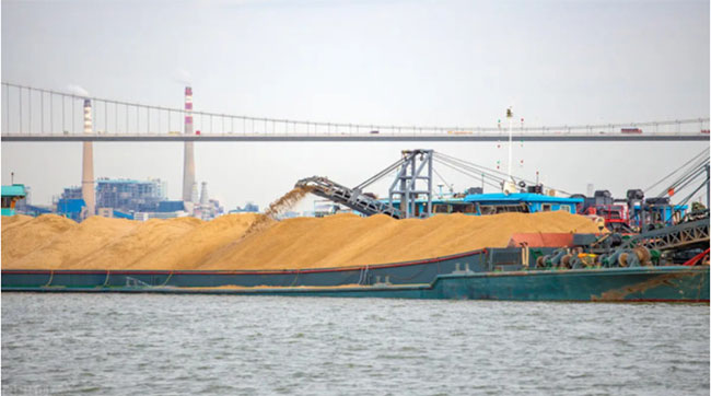 cat-3
