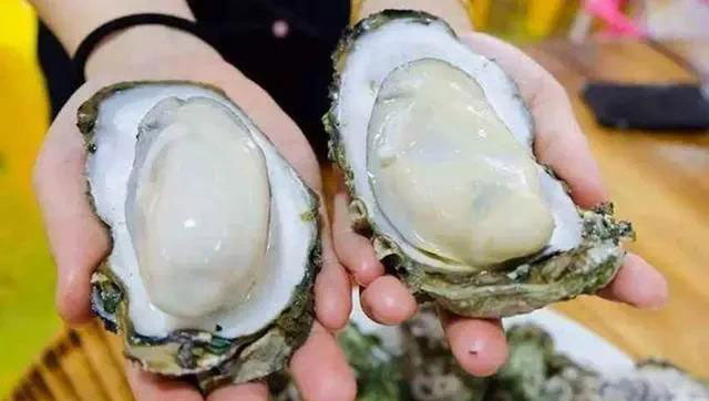con-hau Nên mua những con hàu có vỏ tròn, dày