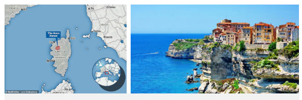 dao-corse Đảo Corse - nơi phát hiện giống mèo lạ