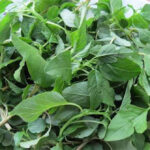 Có thể thay thế rau xanh bằng trái cây được không?