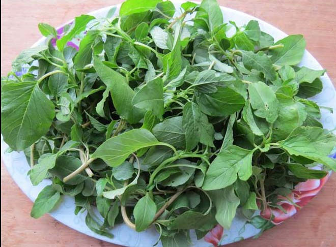 rau-den Rau dền