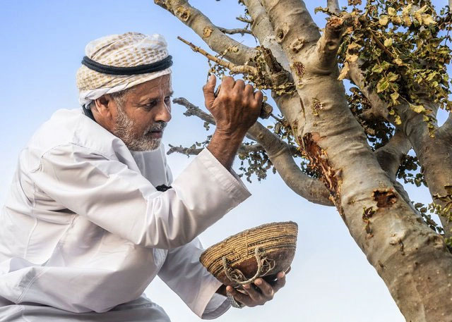 Cuộc sống của người dân Oman có nhiều điểm khác biệt.
