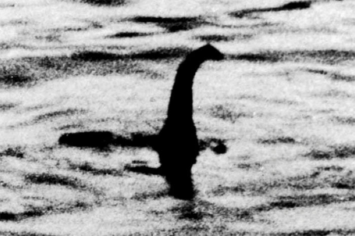 Bức ảnh được cho là của quái vật hồ Loch Ness.