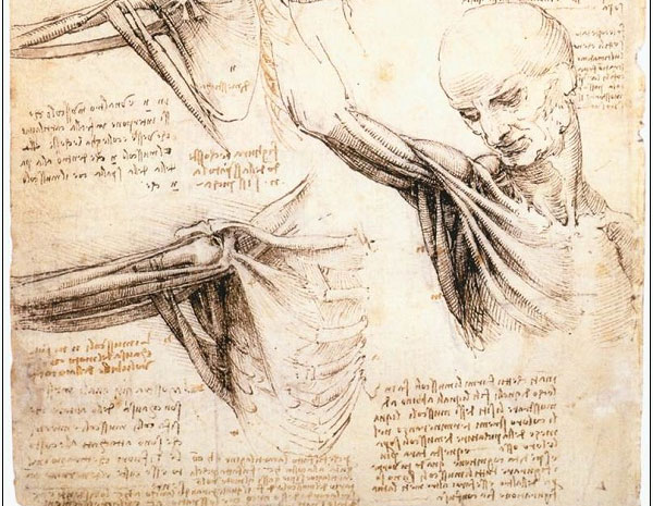 Robot hình người 5 thiết kế vượt thời gian của Leonardo da Vinci